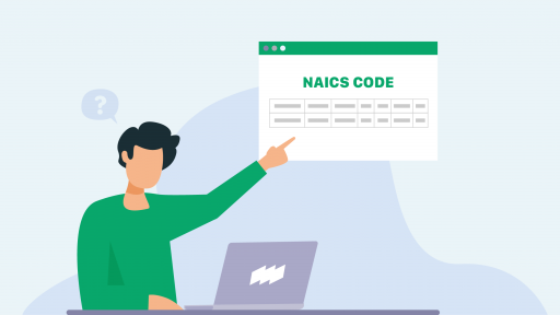 What is a NAICS code?